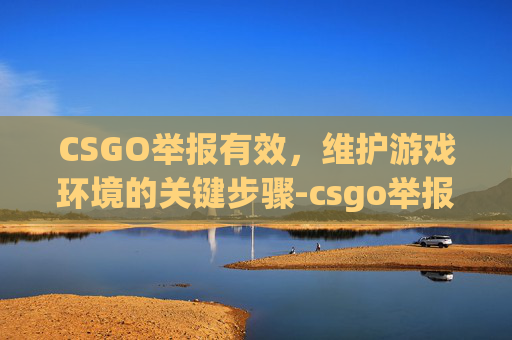 CSGO举报有效，维护游戏环境的关键步骤-csgo举报几次会被禁言