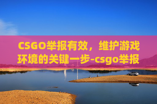 CSGO举报有效，维护游戏环境的关键一步-csgo举报按哪个键