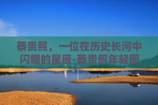 蔡贵照，一位在历史长河中闪耀的星辰-蔡贵照年轻图片