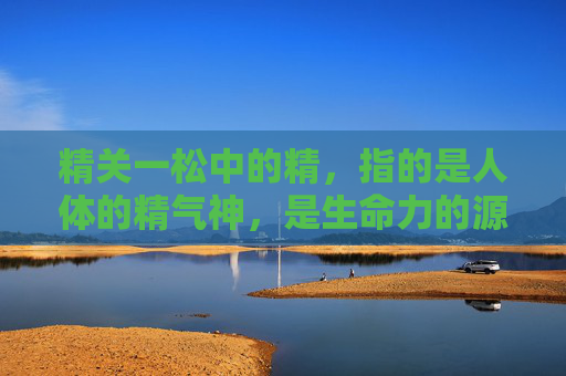 精关一松中的精，指的是人体的精气神，是生命力的源泉。而关，则是指人体内外环境之间的平衡与协调。当我们说精关一松，意味着要努力维护这种平衡，让身体的各个部分都能得到充分的营养和能量，从而保持健康和活力。-精关松动该怎样补救