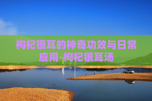 枸杞银耳的神奇功效与日常应用-枸杞银耳汤
