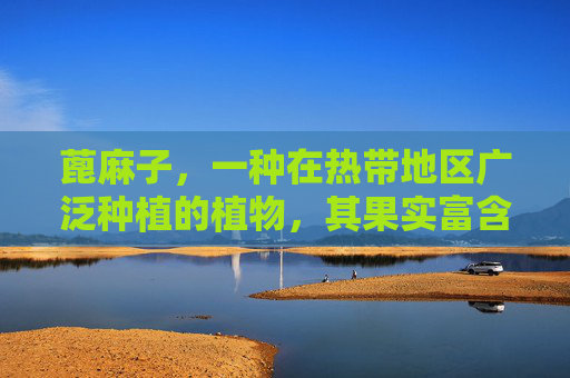 蓖麻子，一种在热带地区广泛种植的植物，其果实富含多种生物活性成分，具有显著的健康益处。本文将探讨蓖麻子的功效与作用，以及如何通过合理使用这些天然资源来促进健康。-蓖麻子的功效与作用及禁忌症