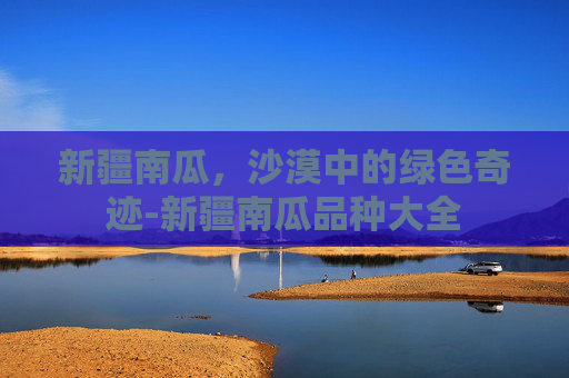 新疆南瓜，沙漠中的绿色奇迹-新疆南瓜品种大全