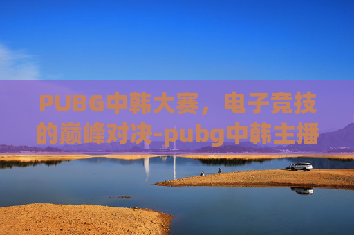 PUBG中韩大赛，电子竞技的巅峰对决-pubg中韩主播对抗赛
