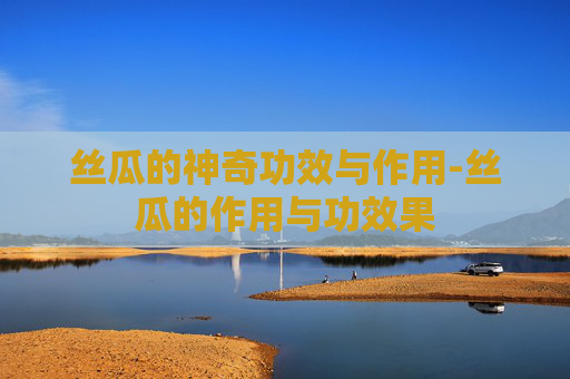 丝瓜的神奇功效与作用-丝瓜的作用与功效果
