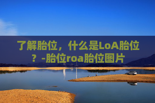 了解胎位，什么是LoA胎位？-胎位roa胎位图片