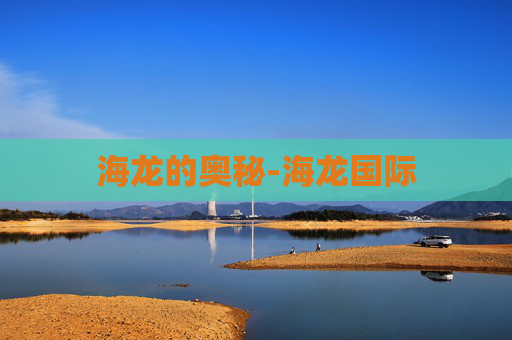 海龙的奥秘-海龙国际