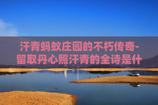 汗青蚂蚁庄园的不朽传奇-留取丹心照汗青的全诗是什么
