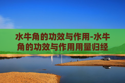 水牛角的功效与作用-水牛角的功效与作用用量归经