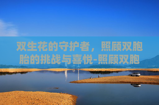 双生花的守护者，照顾双胞胎的挑战与喜悦-照顾双胞胎小宝贝游戏