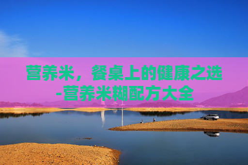 营养米，餐桌上的健康之选-营养米糊配方大全