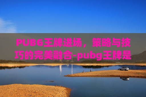PUBG王牌进场，策略与技巧的完美融合-pubg王牌是什么段位