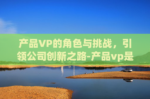 产品VP的角色与挑战，引领公司创新之路-产品vp是什么岗位
