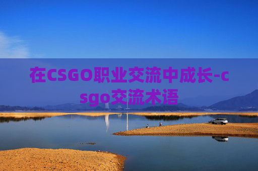 在CSGO职业交流中成长-csgo交流术语