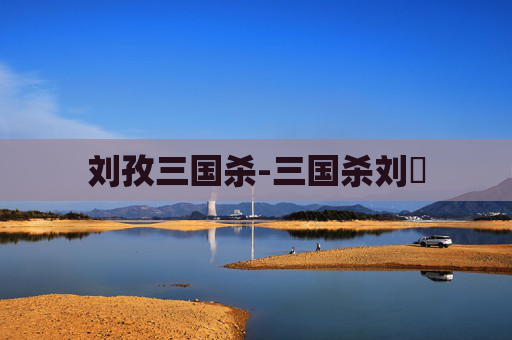 刘孜三国杀-三国杀刘刕