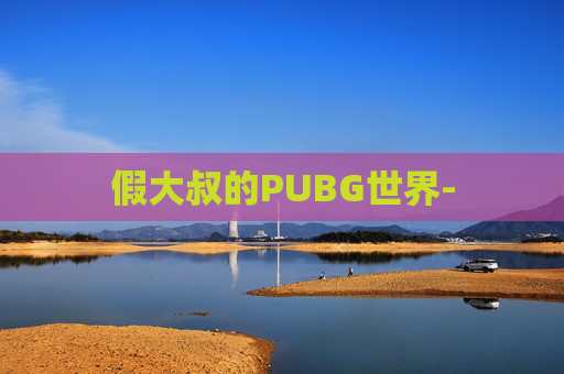 假大叔的PUBG世界-