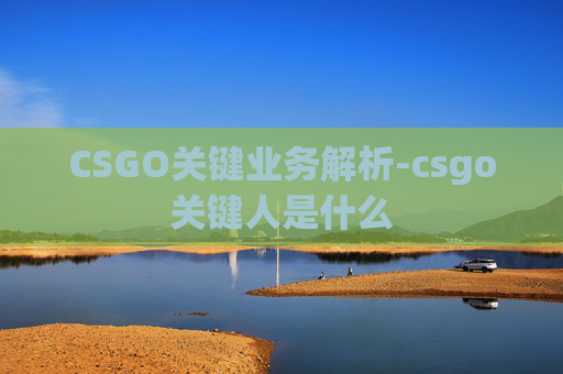 CSGO关键业务解析-csgo关键人是什么