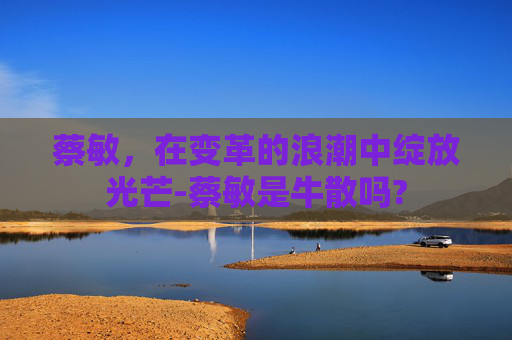 蔡敏，在变革的浪潮中绽放光芒-蔡敏是牛散吗?