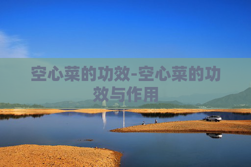 空心菜的功效-空心菜的功效与作用
