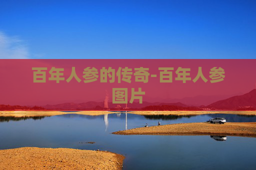 百年人参的传奇-百年人参图片