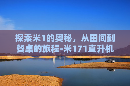 探索米1的奥秘，从田间到餐桌的旅程-米171直升机