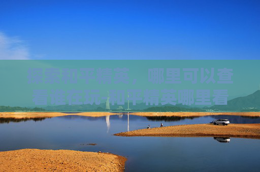 探索和平精英，哪里可以查看谁在玩-和平精英哪里看谁在玩的