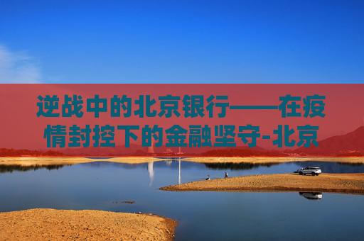 逆战中的北京银行——在疫情封控下的金融坚守-北京银行解禁2020