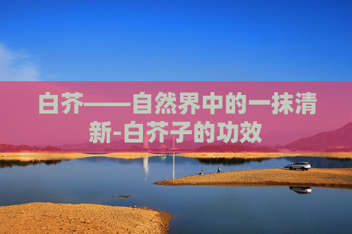 白芥——自然界中的一抹清新-白芥子的功效