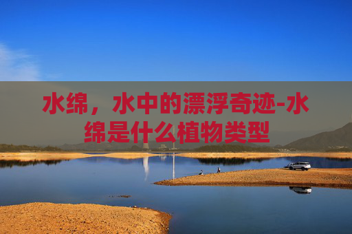水绵，水中的漂浮奇迹-水绵是什么植物类型