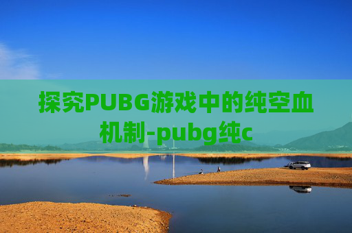 探究PUBG游戏中的纯空血机制-pubg纯c