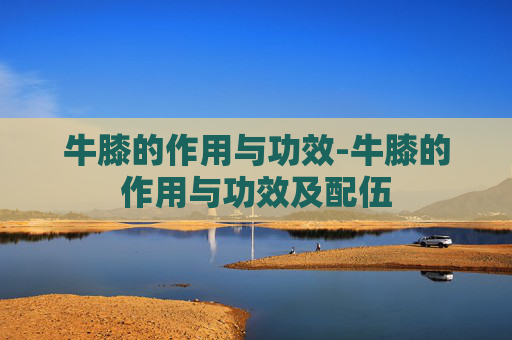 牛膝的作用与功效-牛膝的作用与功效及配伍
