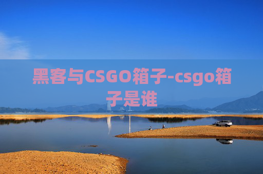 黑客与CSGO箱子-csgo箱子是谁