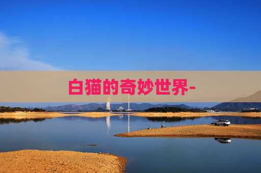 白猫的奇妙世界-