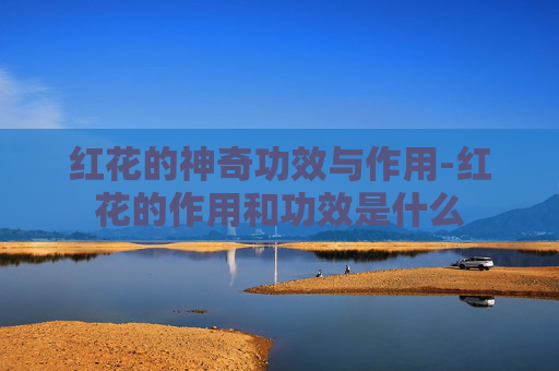 红花的神奇功效与作用-红花的作用和功效是什么