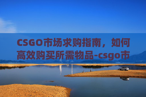 CSGO市场求购指南,如何高效购买所需物品-csgo市场求购怎么给 CSGO市场求购指南,如何高效购买所需物品-csgo市场求购怎么给