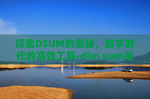 探索DSUM的奥秘，数字时代的高效工具-dim sum是什么意思