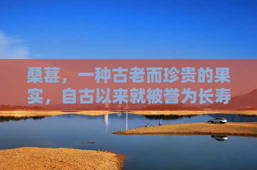桑葚，一种古老而珍贵的果实，自古以来就被誉为长寿果。它不仅味道甘甜，营养丰富，还具有多种保健功效。在这篇文章中，我们将深入探讨桑葚的营养价值、食用方法以及如何在日常生活中利用桑葚来促进健康。-桑葚作用与功效