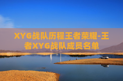 XYG战队历程王者荣耀-王者XYG战队成员名单