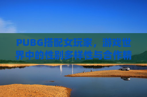 PUBG搭配女玩家，游戏世界中的性别多样性与合作精神-pubg女角色套装