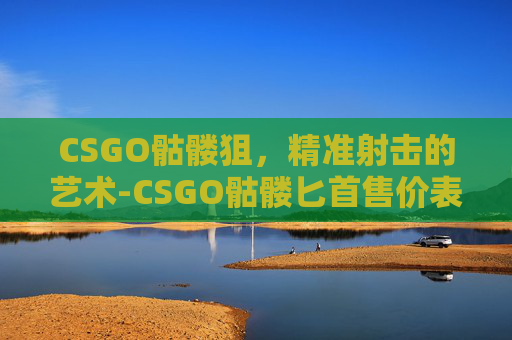 CSGO骷髅狙，精准射击的艺术-CSGO骷髅匕首售价表