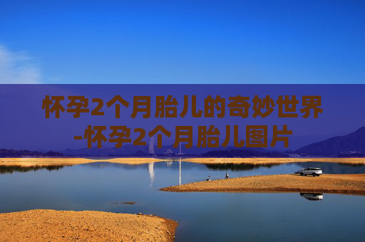 怀孕2个月胎儿的奇妙世界-怀孕2个月胎儿图片