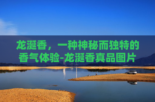 龙涎香，一种神秘而独特的香气体验-龙涎香真品图片