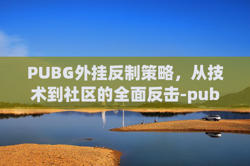 PUBG外挂反制策略，从技术到社区的全面反击-pubg反器材