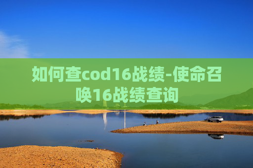 如何查cod16战绩-使命召唤16战绩查询