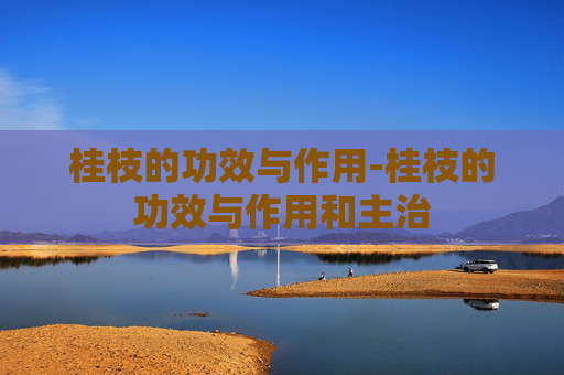 桂枝的功效与作用-桂枝的功效与作用和主治