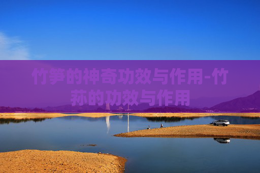 竹笋的神奇功效与作用-竹荪的功效与作用