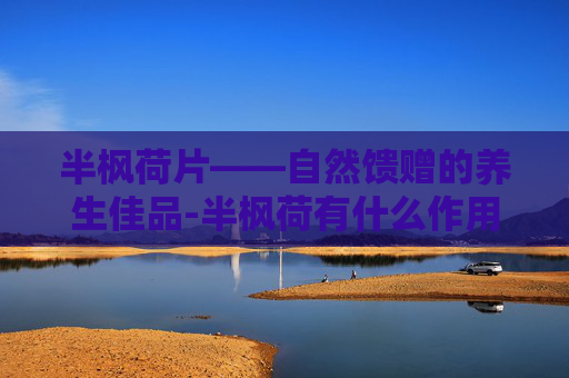 半枫荷片——自然馈赠的养生佳品-半枫荷有什么作用