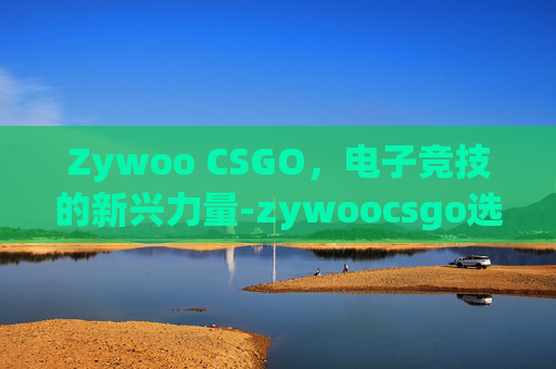 Zywoo CSGO，电子竞技的新兴力量-zywoocsgo选手百度百科