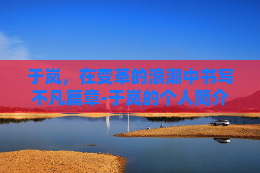 于岚，在变革的浪潮中书写不凡篇章-于岚的个人简介