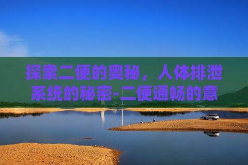 探索二便的奥秘，人体排泄系统的秘密-二便通畅的意义